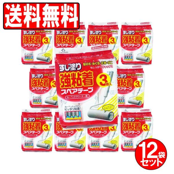 RR N[i[ XyAe[v Zbg h苭Se[v 36 13×12Zbg J[ybgp | 