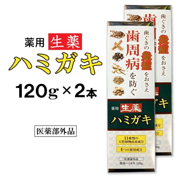 歯磨き粉 薬用 120g 2本セット 医薬部外品 爆買