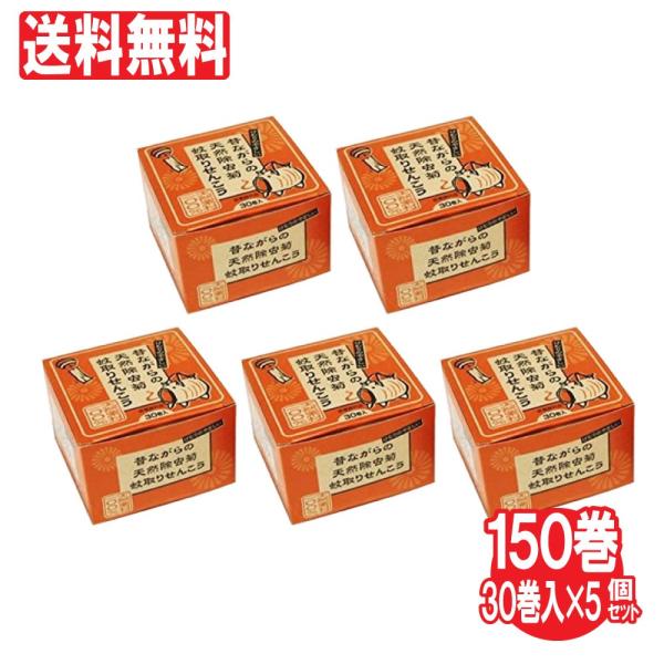 ̂Ȃ̓VRe肹񂱂 t 30 5Zbg  hp򕔊Oi 