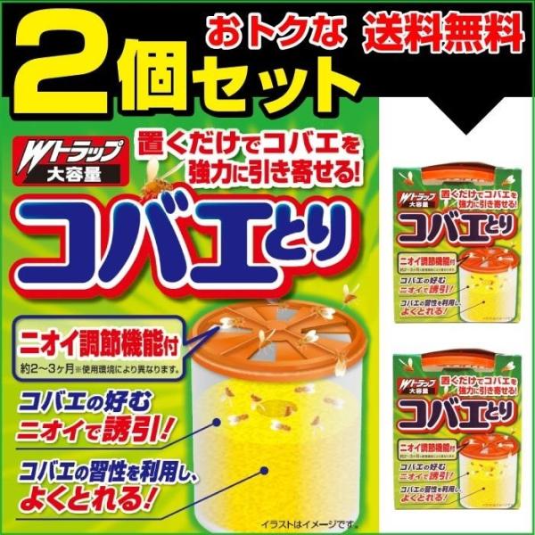 Wgbv RoGƂ e × 2Zbg 2-3gp\ RoG nG { u^Cv RoG p