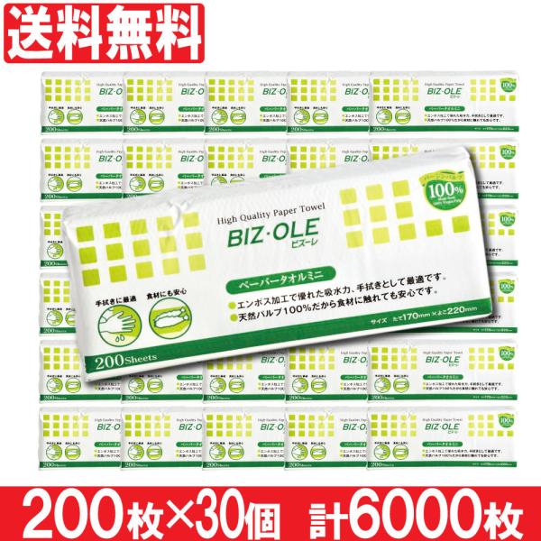 y[p[^I ~j rY[ 200 30Zbg v6000 Ɩp  Lb`NX Lb`^I Lb`y[p[