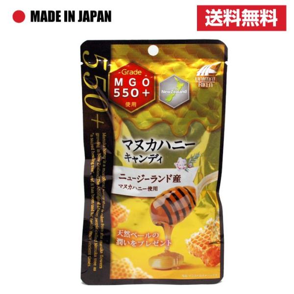 }kJnj[ MGO550+ LfB j[W[hY { I ̂ǈ