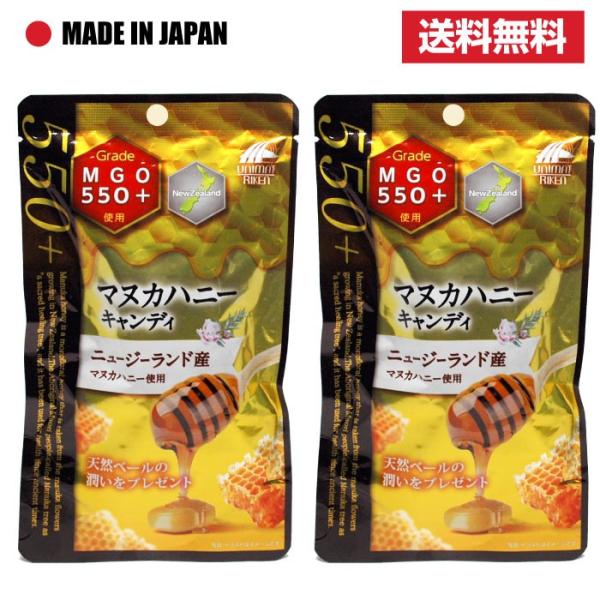 }kJnj[ MGO550+ LfB 2Zbg j[W[hY { I ̂ǈ