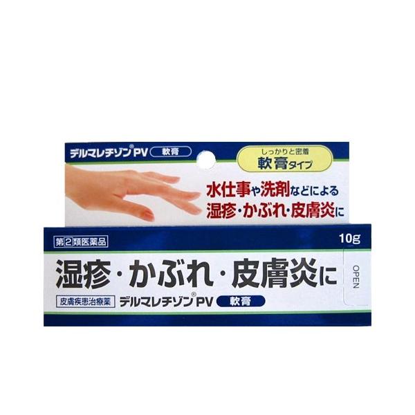 【第(2)類医薬品】皮膚炎 軟膏 手湿疹 デルマレチゾンPV軟膏 10g