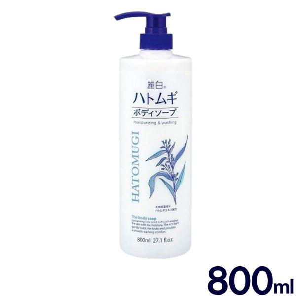 {fB\[v e 800m 픒 ngM{fB\[v Ղe ͂Ƃނ { BHM-BO-31