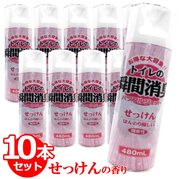 L gC̏LXv[ ̍ 480ml×10{Zbg e Ɩp 