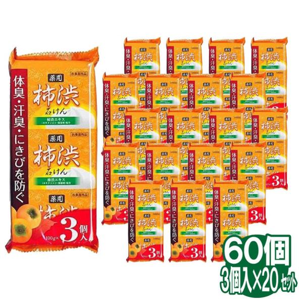 柿渋石鹸 100g 3個入り×20セット 合計60個 薬用 柿渋石けん 固形石鹸 薬用柿渋石鹸 医薬部外品 送料無料  :4901498126004-20:わごんせる 通販