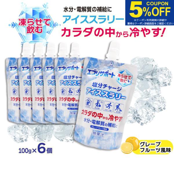 塩分チャージ アイススラリー 100g ×6個 水分補給 電解質補給 グレープフルーツ風味 無果汁 エブリサポート 爆買