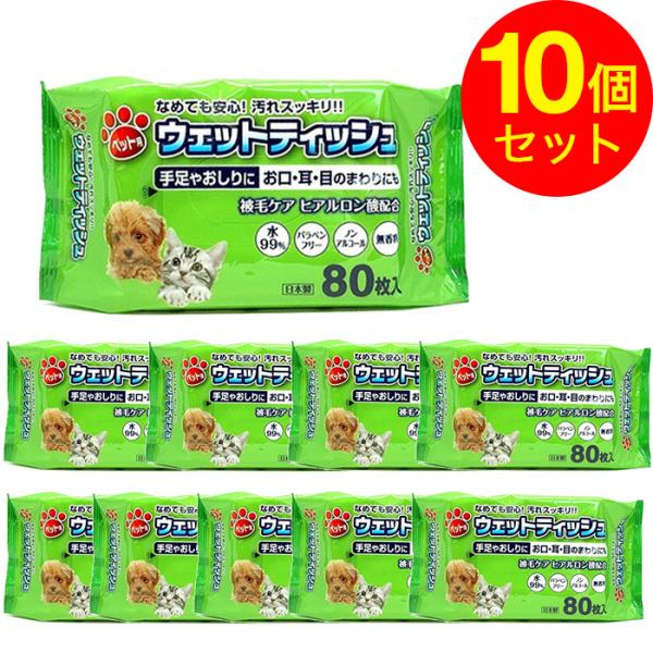 ybgpEFbgeBbV v800 (80×10)Zbg  Lp   ڂ̂܂p