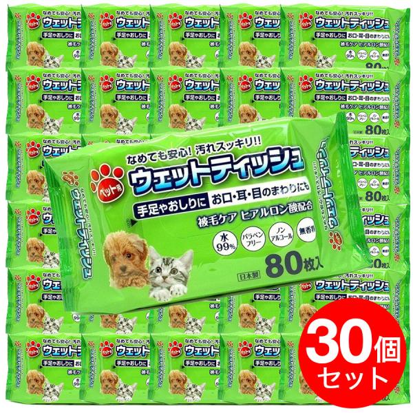 ybgpEFbgeBbV v2400i80 30jZbg  Lp   ڂ̂܂p