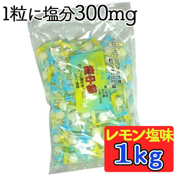 熱中飴 1kg 熱中対策キャンディー レモン塩味 塩飴 井関食品 業務用 徳用袋 1キロ入 クエン酸 Buyee Buyee 提供一站式最全面最專業現地yahoo Japan拍賣代bid代拍代購服務 Bot Online