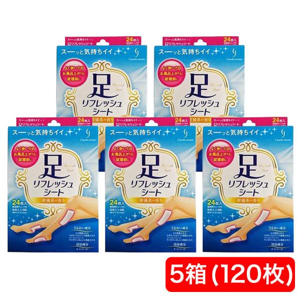 足すっきりシート 足リフレッシュシート 5箱セット 120枚 24枚入×5箱 送料無料 足すっきりシート 足リフレッシュシート 5箱セット 120枚 24枚入×5箱 送料無料