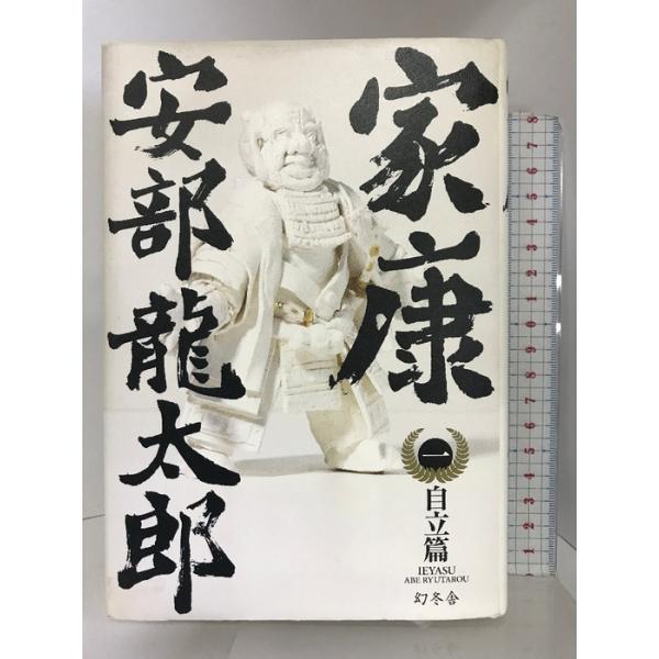 家康 (一)自立篇 幻冬舎 安部 龍太郎
