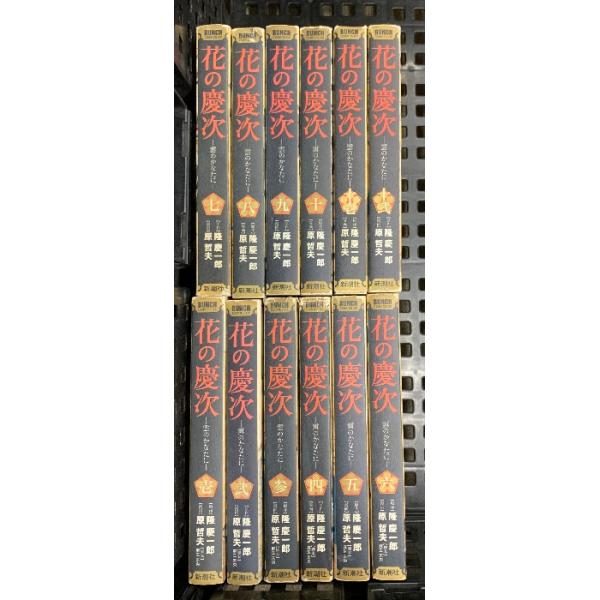 新潮社 - 花の慶次 (新潮社) 1-12セット (バンチコミックスデラックス) 91GOlUX5leL._UF350,350_QL50_.jpg