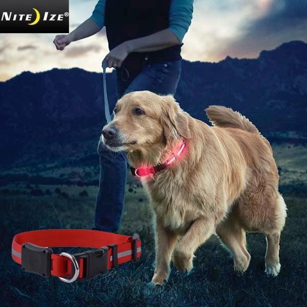 NITE IZE（ナイトアイズ） LIGHT UP DOG COLLAR ライトアップ ドッグ