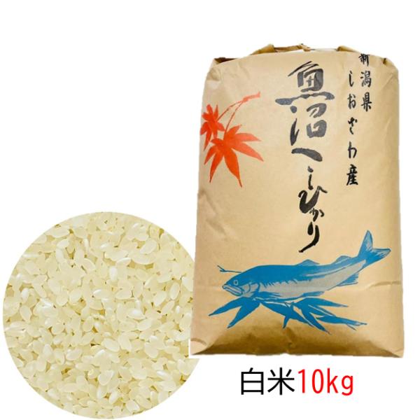 wakamatsuya_f-k310