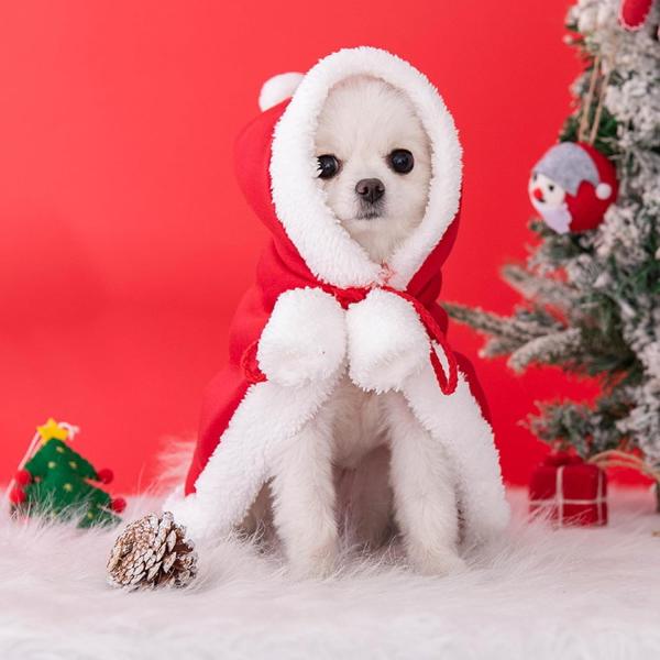 [Release date: December 11, 2025]可愛くて面白いペットマント！愛ペットをサンタさんに変身するかぶりものです。柔らかいのポリエステル生地を採用され、フード付きマントで防寒アイテムとしてもお使えます。ロープ仕様で...