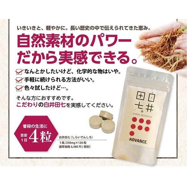 田七人参 白井田七 240粒 瓶タイプ サンプル プレゼント 和漢の森 白井伝七 高麗人参 サポニン 更年期 血糖値 脂肪肝 尿酸値 痛風 肝臓 サプリメント 口コミ Buyee Buyee Japanese Proxy Service Buy From Japan Bot Online