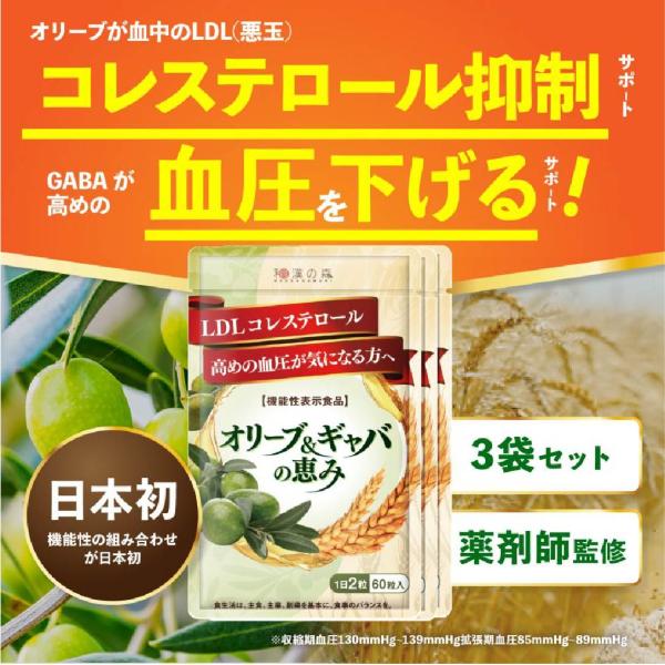 オリーブ ギャバ サプリ 血圧 コレステロール 60粒 3袋 和漢の森 ストレス 高血圧 サプリメント 下げる Ldlコレステロール 悪玉コレステロール 高め Gaba03 和漢の森 通販 Yahoo ショッピング