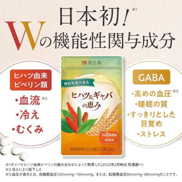 wakannomori_hihatu-3_3_d_20240808150633