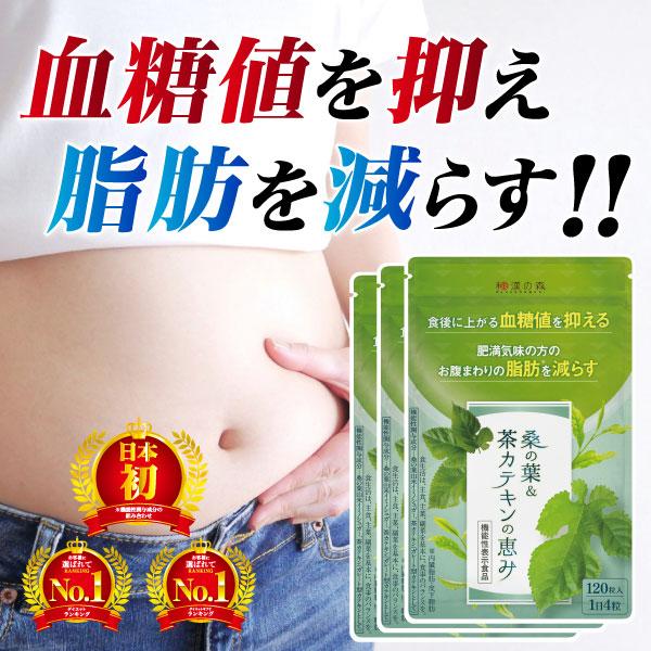 和漢の森 【公式】ダイエット 皮下脂肪 内臓脂肪 血糖値 下げる 和漢の森 【公式】ダイエット 皮下脂肪 内臓脂肪 血糖値 下げる