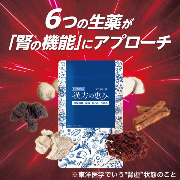 wakannomori_rokumigan01_3_d_20251110112611