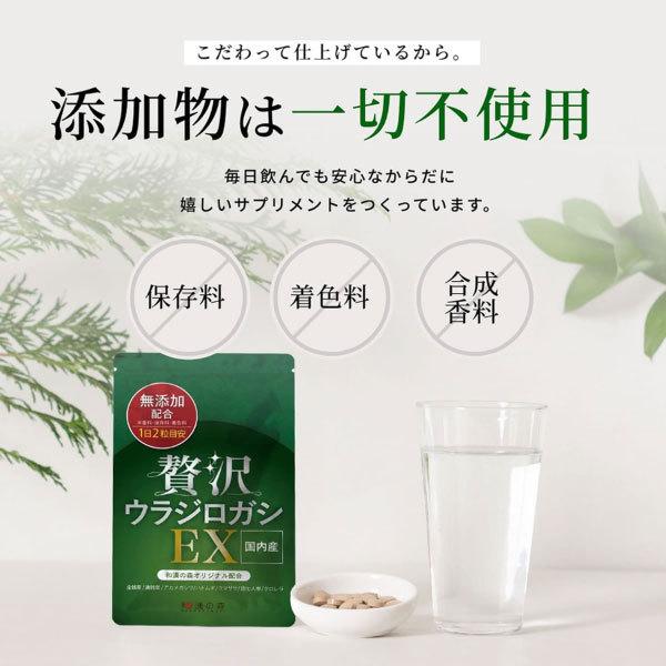 wakannomori_ura-01_5