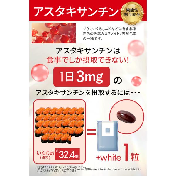 wakannomori_white-01_6_d_20250603170037