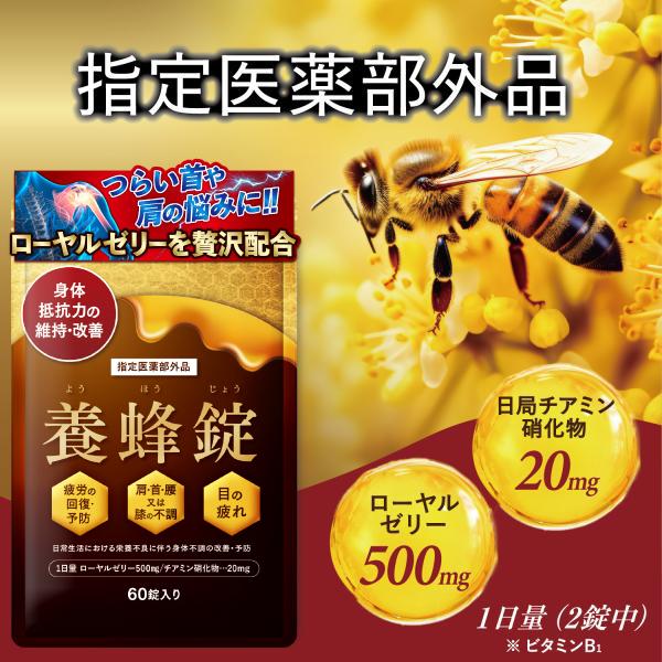 指定医薬部外品 (ビタミンB1 (チアミン硝化物))【効果・効能】○体力・身体抵抗力又は集中力の維持・改善●疲労の回復・予防●虚弱体質(加齢による身体虚弱を含む)に伴う身体不調の改善・予防●病中病後の体力低下時、発熱に伴う消耗性疾患時、食欲...