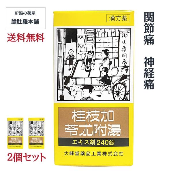 桂枝加苓朮附湯エキス錠240錠 約20日分 X 2個 関節痛 神経痛 手足の冷え こわばり 尿量が少ない 動悸 めまい 第２類医薬品 漢方薬