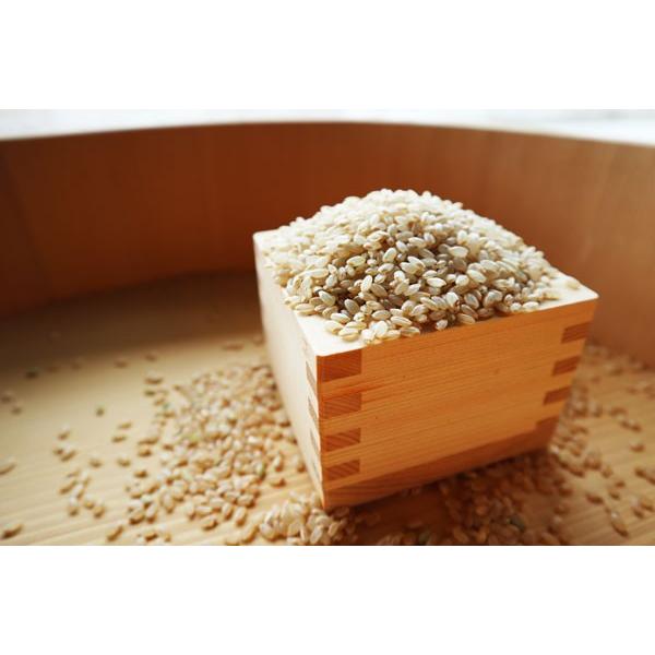 新米】【玄米30kg】 令和4年 福井県産 こしひかり 若狭の恵 :koshi30gen:恵マルシェ - 通販 - Yahoo!ショッピング 新米】【玄米30kg】 令和4年 福井県産 こしひかり 若狭の恵 :koshi30gen:恵マルシェ - 通販 - Yahoo!ショッピング