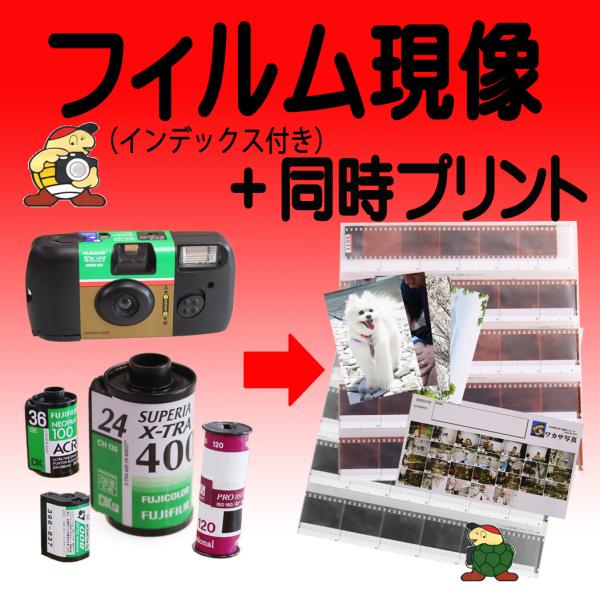 ネガフィルム現像とプリントのセット商品になります。インデックスが付きます。12、24、36枚撮りすべてに対応いたします。レンズ付きフィルム等27、40枚撮りも同様です。その他、ブローニーやAPS、ハーフサイズも各1枚プリントいたします。白黒...