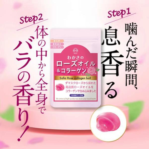 wakasa_101400260-00