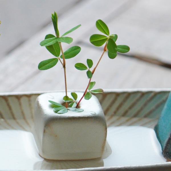 ころんとした形がかわいい益子焼の「花留め」です。お皿や小鉢に水をはり、花留めの穴に草花を挿し込んで使います。なにげない草花が絵になる、おうち時間を心豊かにしてくれるアイテムです。【商品サイズ】幅：2.5cm前後 / 高さ：2.5cm前後※手...