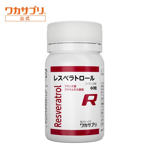 倉庫運用上の都合により、配送日をご指定いただいていない場合は、原則としてお支払い確認後4日以内に発送いたします。可能な限り配送希望日をご入力いただけますよう、お願い申し上げます。