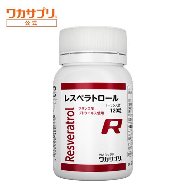 倉庫運用上の都合により、配送日をご指定いただいていない場合は、原則としてお支払い確認後4日以内に発送いたします。可能な限り配送希望日をご入力いただけますよう、お願い申し上げます。
