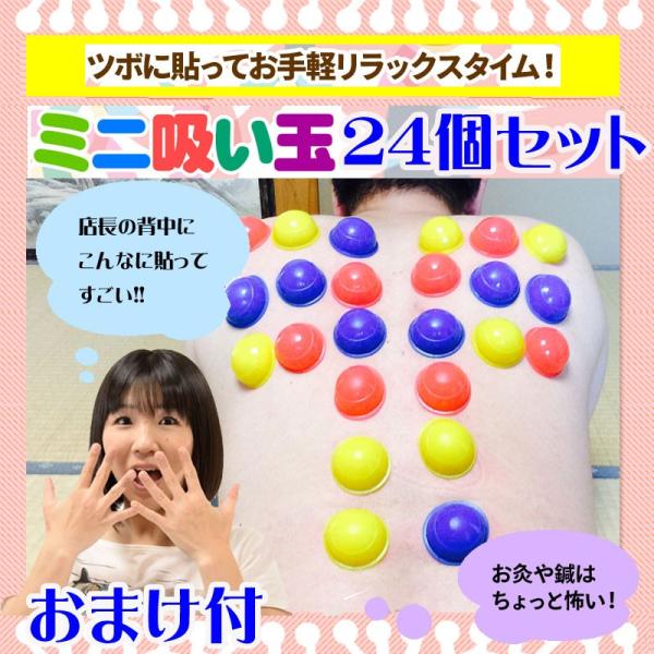 wakasugi2012_mini-24