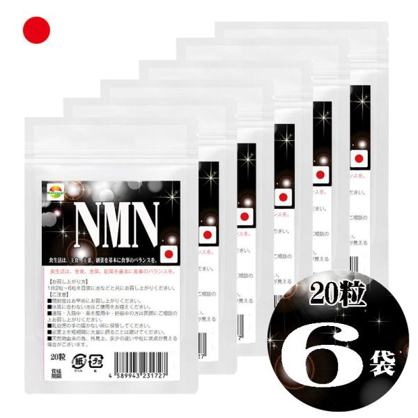 NMN サプリメント 20粒 6袋セット計120粒 日本製 国産ニコチンアミドモノヌクレオチド使用 1粒250mgあたりNMN50mg配合　1袋に1000mg配合