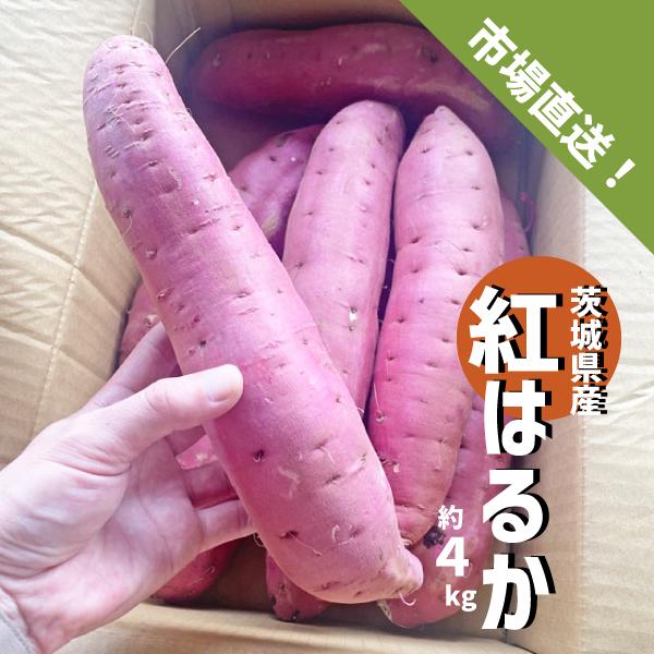 茨城県産 紅はるか 約4kg M〜3Lサイズ さつまいも サツマイモ 焼き芋