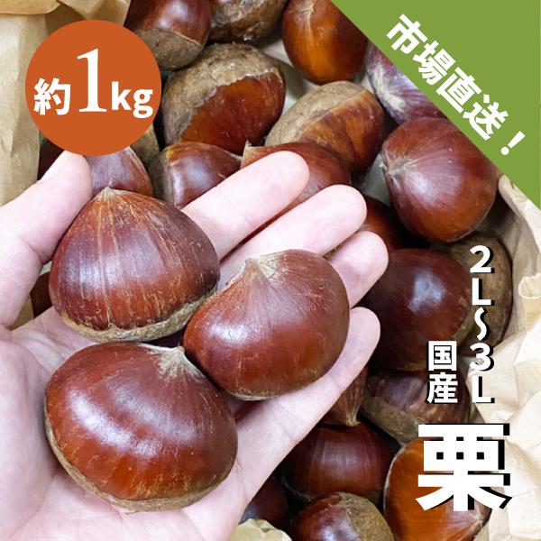 4個 信濃山里 栗つゝみ 【双松庵唯七 公式本店】 信玄餅