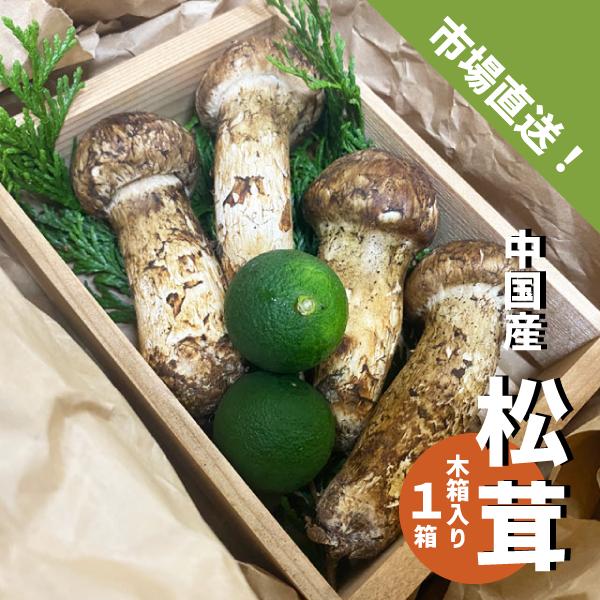 松茸 木箱入り １箱 ３〜４本 中国産 スダチ入り 生松茸 吸い物