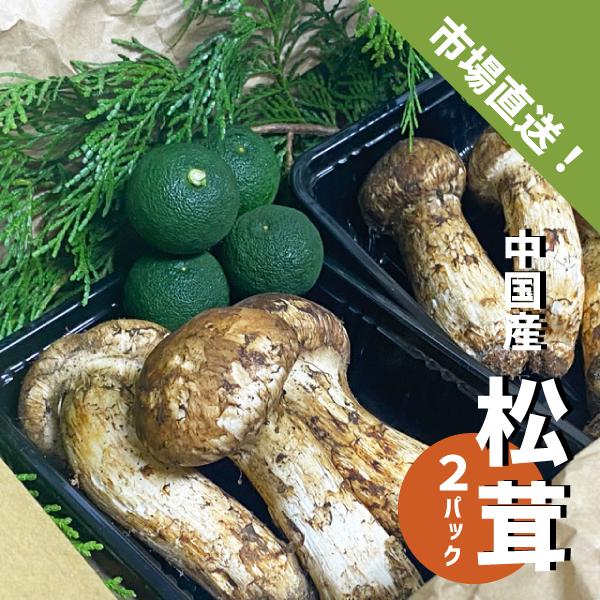 国産松茸,126g 松茸 まつたけ 中国産 500グラム 特別贈答用 ギフト用 竹箱