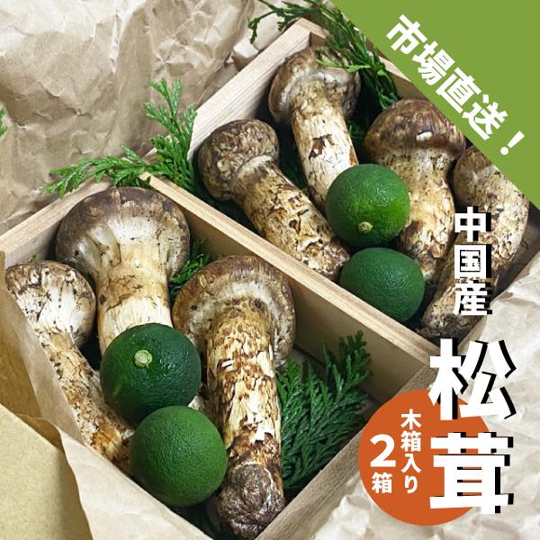 中国産 松茸 約2kg まつたけ 【公式通販】