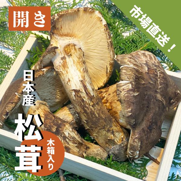 日本産 松茸 開き 木箱入り 1箱 3〜5本 国産 生松茸 吸い物