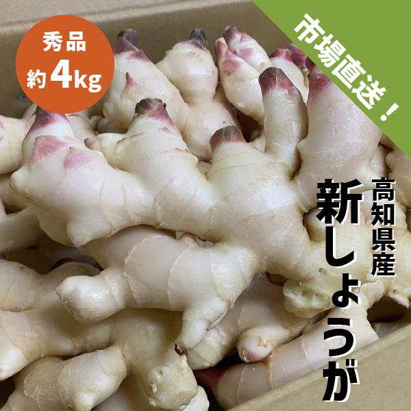 高知県産 新しょうが ４kg 秀品 Lサイズ  特産 甘酢 生姜 漬物 しょうが 新生姜