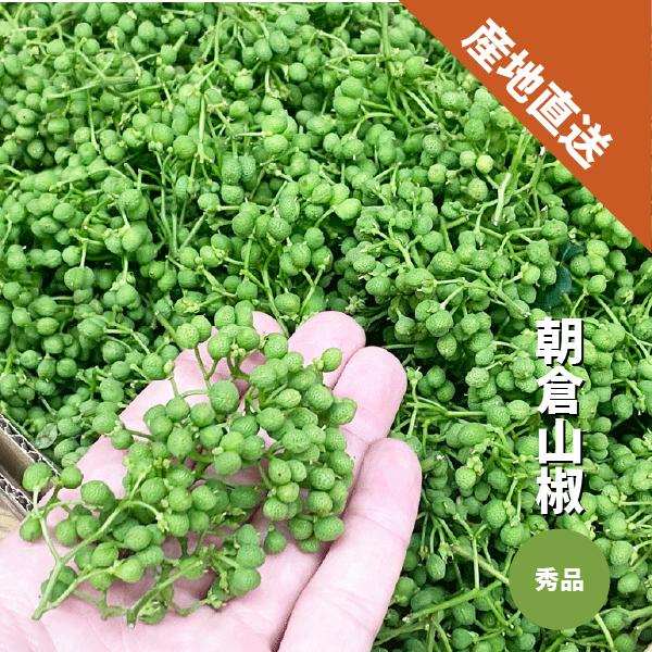 朝倉山椒 秀品 1kg 和歌山県産 生山椒 実山椒 有田産 さんしょう