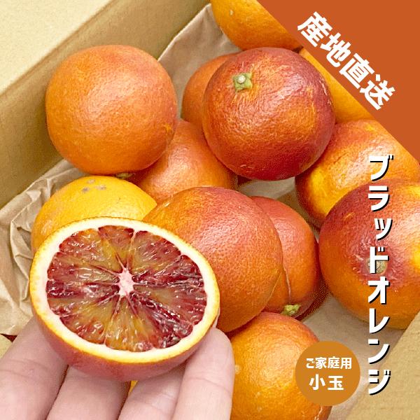 和歌山県産　ブラッドオレンジ　モロ10kg(秀品) 和歌山県産 ブラッドオレンジ モロ10kg(秀品) - メルカリ