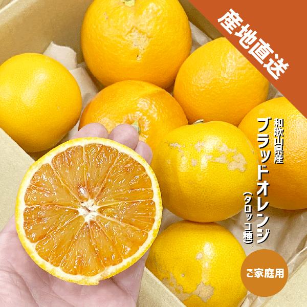ブラッドオレンジ タロッコ種 約1kg 和歌山県産 ご家庭用 モロ種