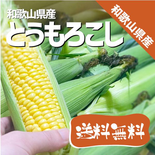 とうもろこし 10本 Lサイズ以上 甘度良好 紀南産 トウモロコシ 発送中