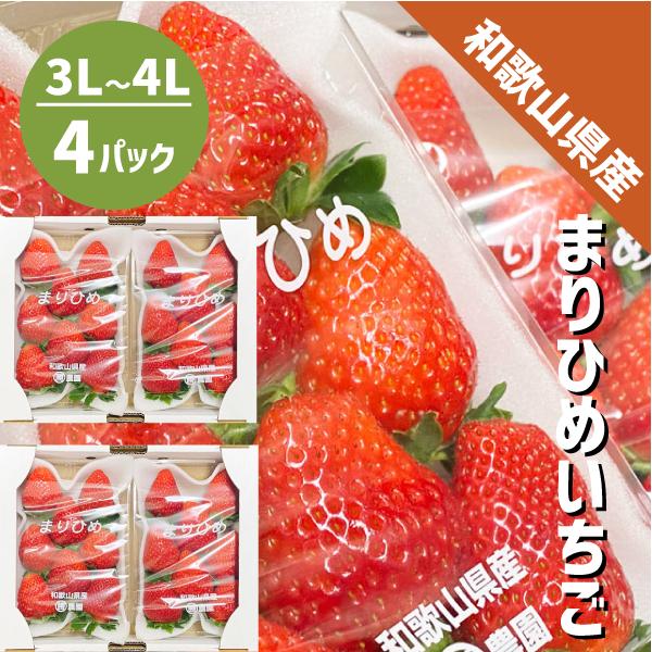 まりひめいちご 3L〜4L 4パック(約300g×4パック)和歌山 まりひめいちご 3L〜4L 4パック(約300g×4パック)和歌山